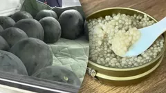 Il cibo più costoso del mondo: ecco per cosa pagano davvero i milionari