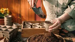 Seminate a febbraio e raccoglierete sacchi di raccolto: lista collaudata per una stagione ricca