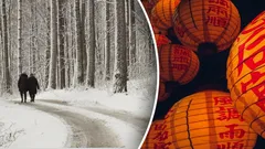 Oroscopo cinese di febbraio 2026: quali segni saranno i più fortunati?