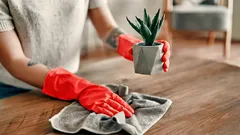 Ecco perché nelle case giapponesi non c’è mai polvere - il metodo di pulizia è sorprendentemente semplice