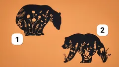 Test psicologico: scegli un’immagine e scopri un’analisi completa della tua personalità