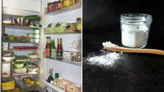 Come eliminare facilmente i cattivi odori dal frigorifero senza prodotti chimici: bastano 2 ingredienti